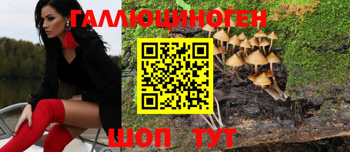 Галлюциногенные грибы MAGIC MUSHROOMS Сочи