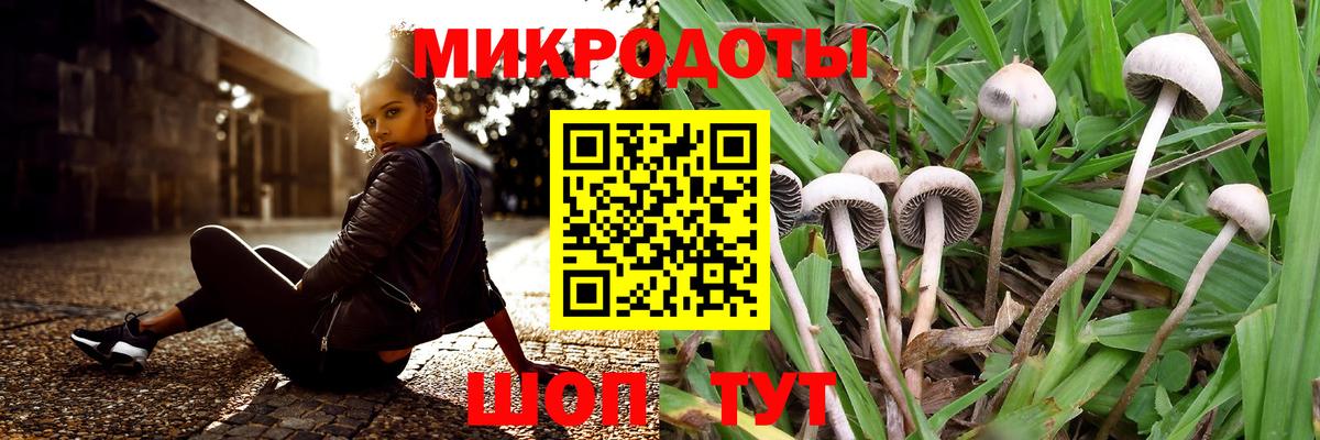 Сочи  Галлюциногенные грибы прущие грибы  Вход с VPN 